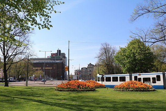 heineken-brewery-5110594_640__1_.jpg