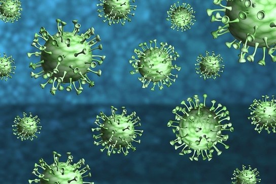 coronavirus-4958989_640.jpg